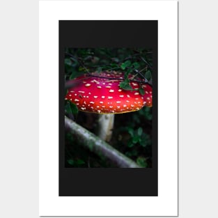 Bright red magical mushroom with white spots deep in the forest Posters and Art